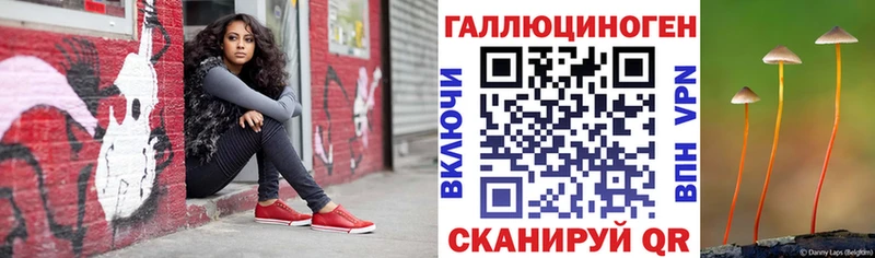 mega ССЫЛКА  Вышний Волочёк  Псилоцибиновые грибы мицелий 